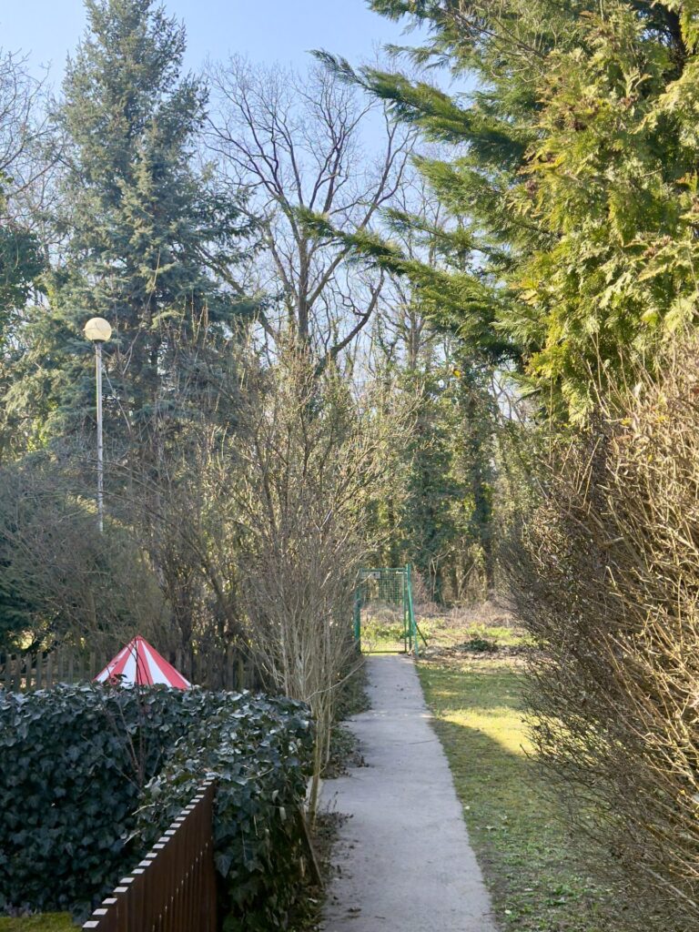 XVIII. kerület, Kétújfalu utca – háromszintes sorházi lakás garázzsal – környezet